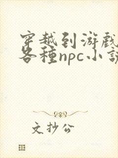 穿越到游戏里和各种npc小说