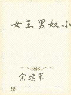 女王男奴小说封面