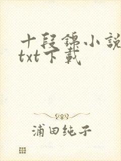 十段锦小说全本txt下载