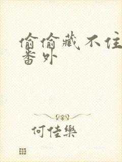 偷偷藏不住新婚番外