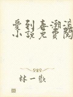 爱到春潮滚滚来小说免费阅读封面