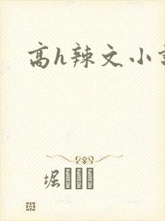 高h辣文小说封面