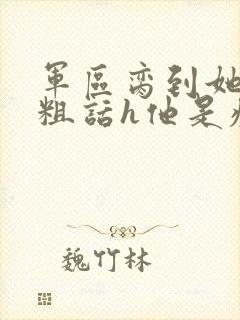 军区脔到她哭h粗话h他是疯批