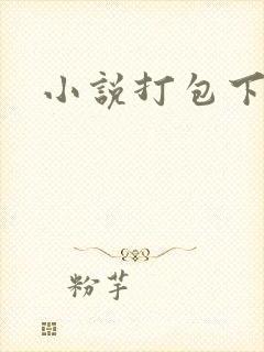 小说打包下载