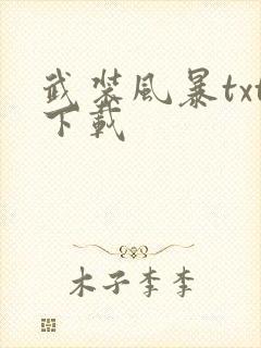 武装风暴txt下载