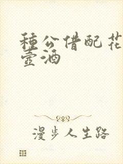 种公借配花间一壶酒