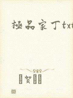 极品家丁txt