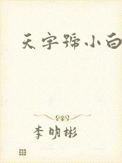 天字号小白脸封面
