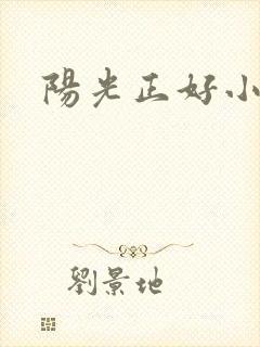 阳光正好小说封面