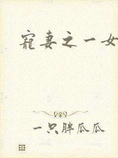 宠妻之一女二夫封面