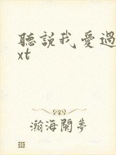 听说我爱过你txt