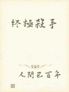 终极杀手
