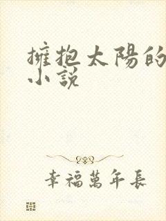 拥抱太阳的月亮小说