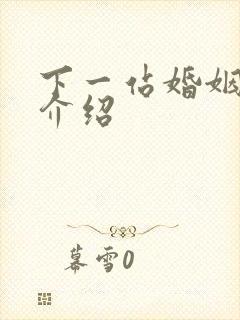 下一站婚姻剧情介绍