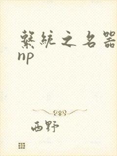 系统之名器攻略np