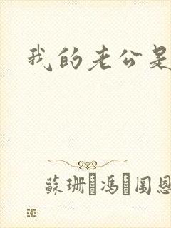 我的老公是军阀