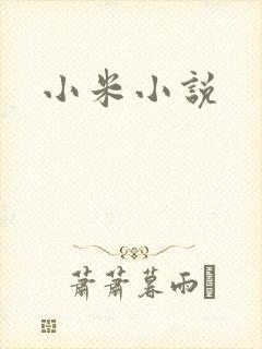 小米小说