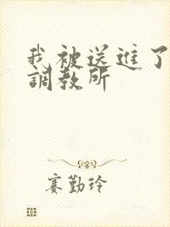 我被送进了私奴调教所封面