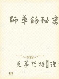 师尊的秘密封面