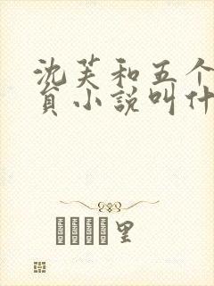 沈芙和五个消防员小说叫什么封面