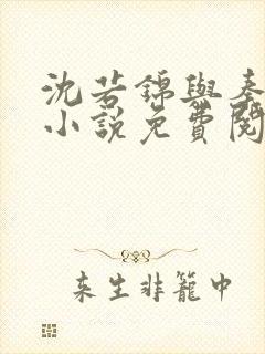 沈若锦与秦琅的小说免费阅读封面