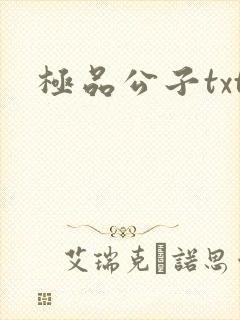 极品公子txt封面