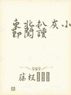 东北扒灰小说分节阅读