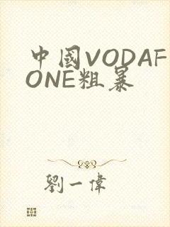 中国VODAFONE粗暴
