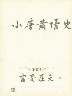 小唐黄倩史