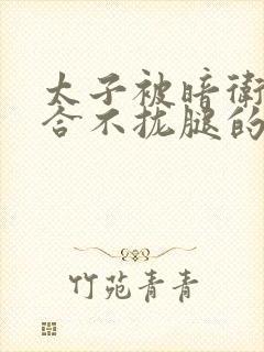 太子被暗卫c到合不拢腿的后果