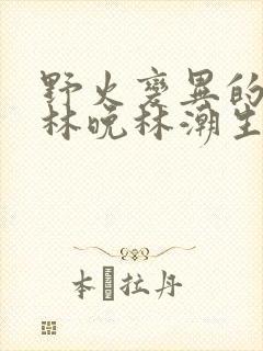 野火变异的父爱林晚林潮生