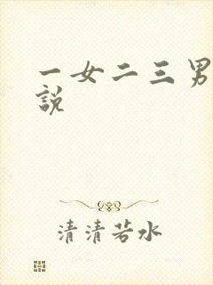 一女二三男事小说