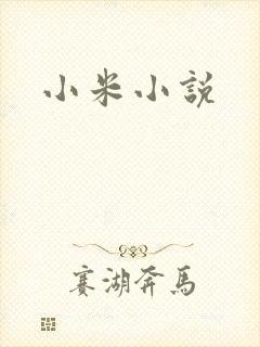 小米小说