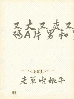 又大又爽又黄无码A片男和男