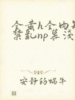 全黄h全肉短篇禁乱np慕浅浅