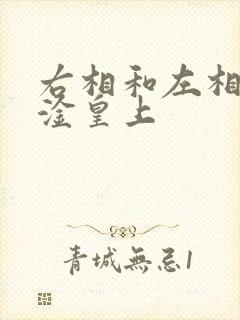 右相和左相一起淦皇上
