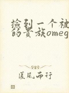 捡到一个被抹布的贵族omega封面