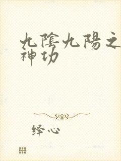 九阴九阳之阴阳神功封面