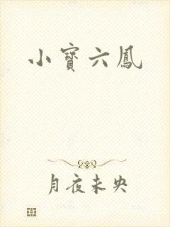 小宝六凤