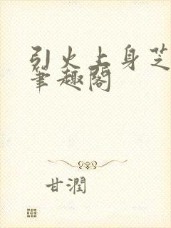 引火上身芝麻糖笔趣阁