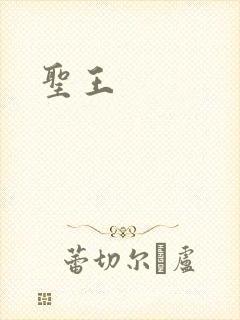 圣王封面