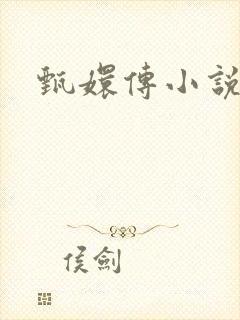 甄嬛传小说封面