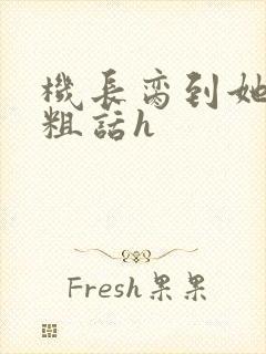 机长脔到她哭h粗话h