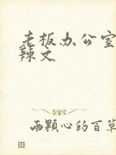 老板办公室系列辣文