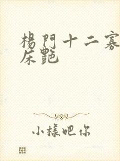 杨门十二寡妇肉床艳