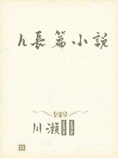 h长篇小说封面