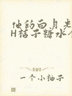 他的白月光HVH桔子糖水全文封面
