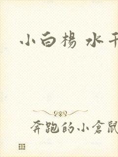 小白杨 水千丞