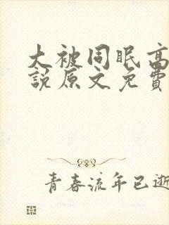 大被同眠高粱小说原文免费阅读