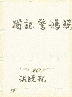 犹记惊鸿照影封面